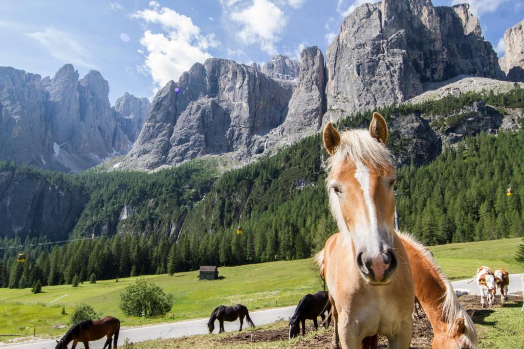 Chalet Madrisa Corvara In Badia Kültér fotó